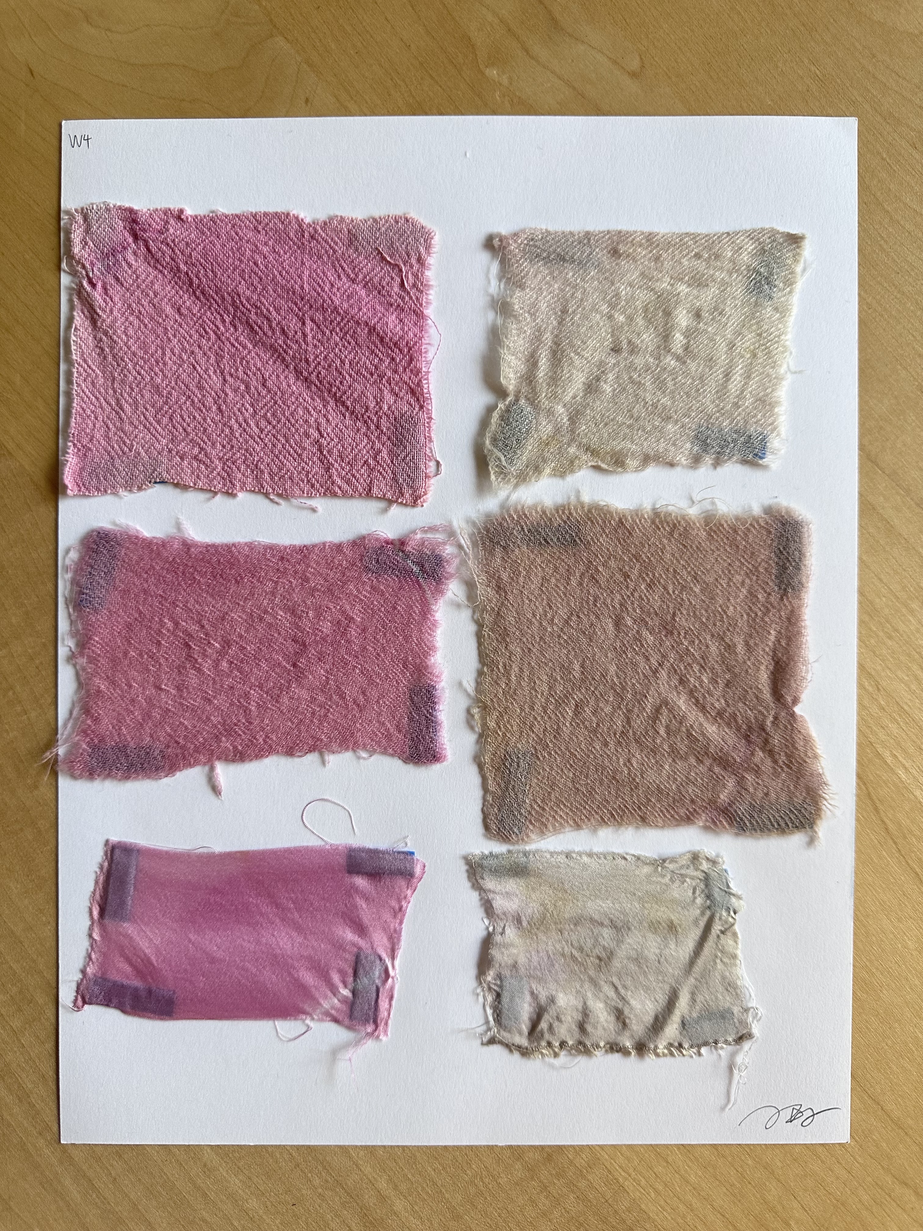 Cochineal Dye Image 3